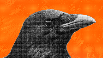 Why Visual Consistency Builds Brand Trust Faster